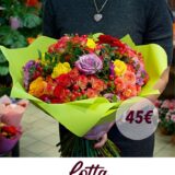 Lotta