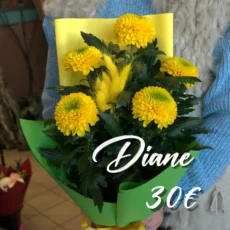 Diane