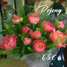 Pojeng