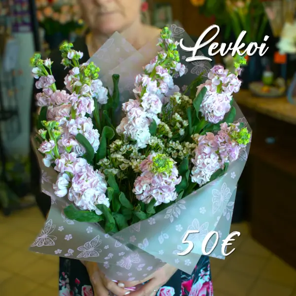 Lillekimp Emale